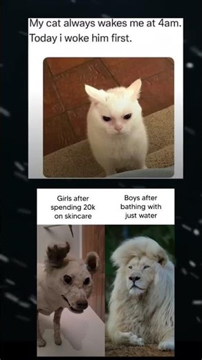 BTS 💜💚#funny #btsjhopeedit #btsmemes #kpop #btsrelatablememes #bts #suga #btsarmy #kpopmemes #memes