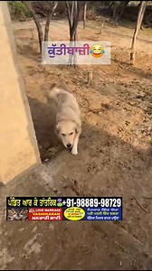 4.5K views · 7.7K reactions | DM for Credit/Deleting Reel and...