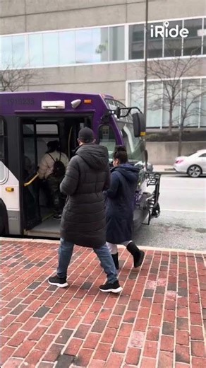 Day 4: Free Transit 🚌⛴️