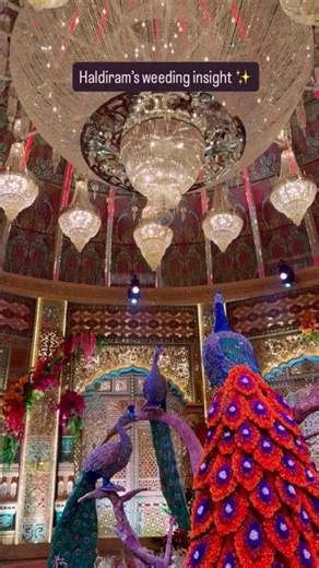 Haldiram Wedding Inside Video📽| Full Luxury Show #shorts #ytshorts #haldirams #royalwedding