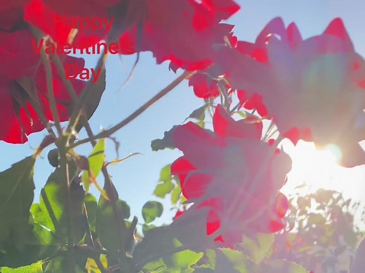 Anthony Hopkins Love Speech in 'Meet Joe Black' Explained