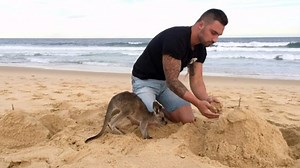 Witness this guy and his baby kangaroo BFF do everything together