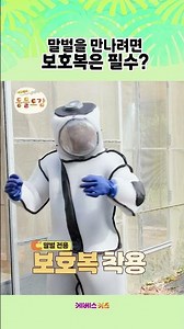 말벌 전용 보호복을 입는 이유?ㅣ에그박사 동물도감ㅣKBS 241119 방송
