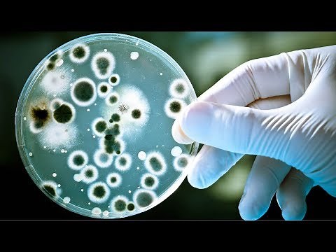 Microbiological Compressed Air Sampling per ISO 8573-7