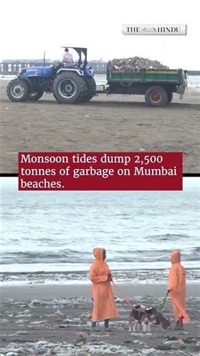 Monsoon tides dump 2,500 tonnes of garbage on Mumbai beaches