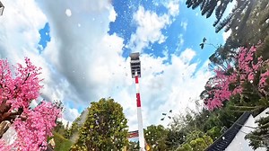 525K views · 4.8K reactions | พามาชมโซนเปิดใหม่ของเราค่ะ 練❤️ | Amazing Dinosaur เขาค้อ | Facebook