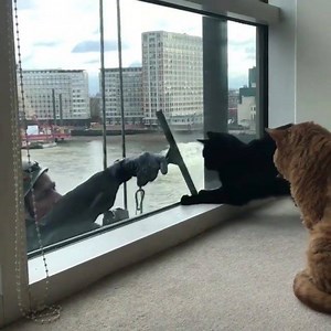 Hey, you've gotta find fun in your job, where you can, right?! Lol (DO) Listen Live, ANYTIME! www.chfi.com! | 98.1 CHFI