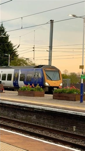 Northern class 331