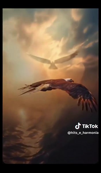 The Closer I Get to you - Roberta Flack 1977 #romanticasanos708090 #recordaréviver😍