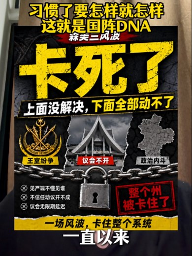 国阵DNA：梧桐与酋长纷争解析