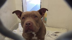 16K views · 375 reactions | RESCUED - moved to SAFE Album on 03/02...