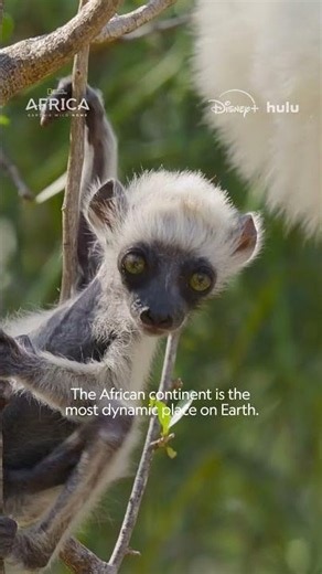 Hope for Africa's Wild Future #AfricaEarthsWildHome