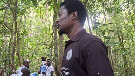 1.4K views · 24 reactions | The Ministry of Tourism and Cultural Affairs, in collaboration with the National Association of Certified Tour Guides-Sierra Leone, marked World Tour Guide Day on February 21, 2025, with an educational nature tour to the Tacugama Wildlife Sanctuary. | Unity Broadcasting | Facebook