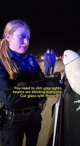 high beems 😄😄 #talkingbird #talkingparrot #funnybirds #funnypetvideos | Talk with Taco