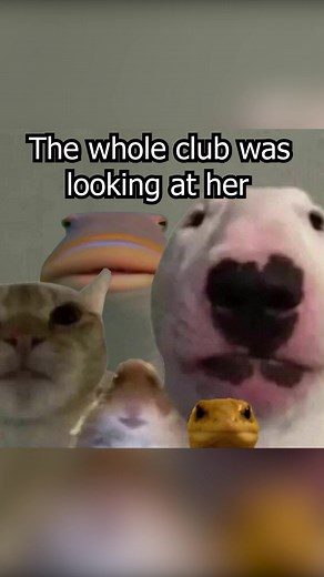 Dogmusicvids på TikTok