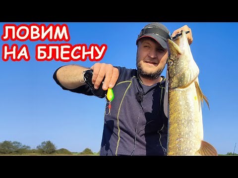 ЛОВИМ ЩУКУ НА БЛЕСНЫ ОСЕНЬЮ. РЫБАЛКА НА СПИННИНГ
