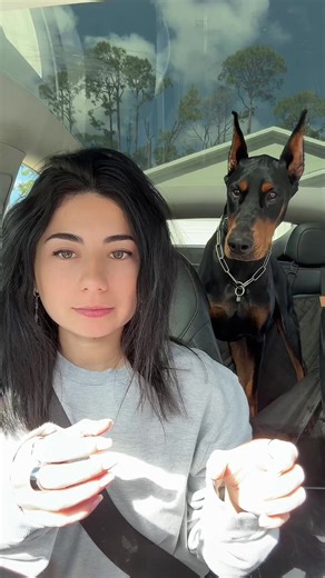 The Messy Side of Doberman Ownership