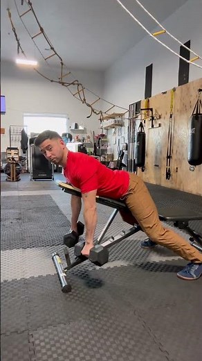 Chest Supported Dumbbell Row - Neutral Grip and Prone Grip Variations #back #biceps #lats