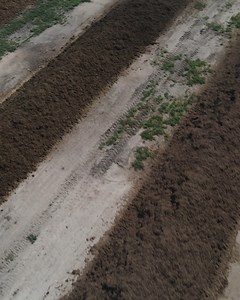 11K views · 1.3K reactions | Adding compost to the soil can improve its overall health and structure. That’s why we spread over one million pounds of organic compost on our soil every year, which is equal to almost 40 school buses, or three blue whales worth of compost! Learn more from our Farm Specialist, Jack DuBois. #StandardProcess #OrganicFarming | Standard Process Inc. | Facebook