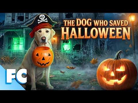 A Dog Goes Trick-or-treating At The Spooky House Next Door | Full Comedy Movie