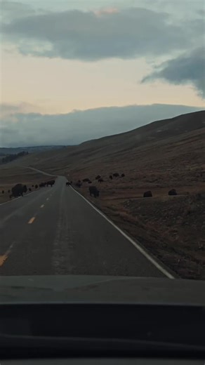 #CapCutMotivacional #CapCut #senderismodemontaña #naturalezaincreible #disfrutaelpaisaje