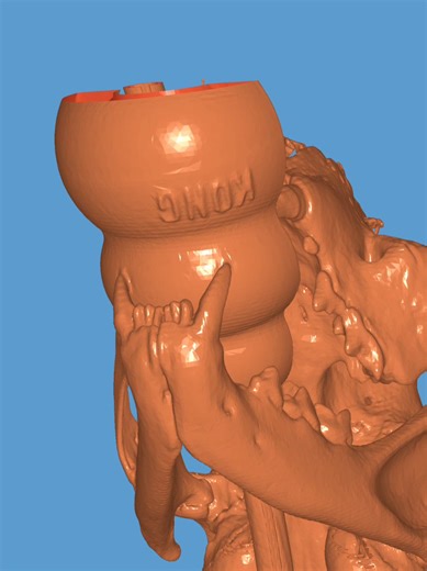 Innovative Veterinary Tools Using 3D Printing Techniques