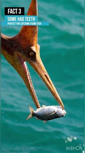 5 Mind-Blowing Pterodactyl Facts You Didn’t Know! #aianimation #dinosaur #pterosaurus #jurassicworld