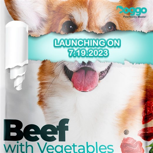 You got it right! We’re launching a new doggo food item 🥳 now it’s time to guess what type of food item we’re releasing 🤍 🐾 Wet food 🐾 Treats 🐾 Dry food 🐾 Dental sticks Let us know what you think it is 😅 | Doggo