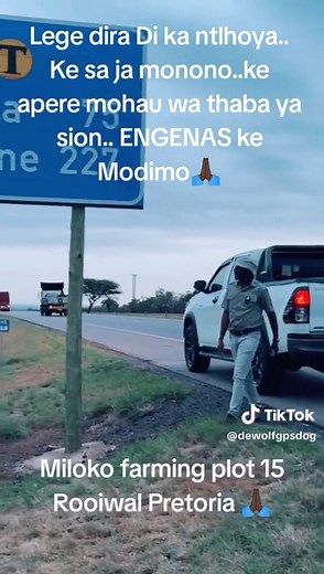 Loading Cows for Transportation: A Farmer's Guide