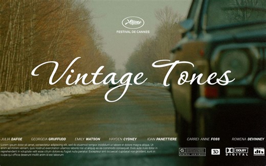 Vintage LUTs 6个复古色调专业电影感视频LUT Professional & Cinematic LUTs Vintage Tones