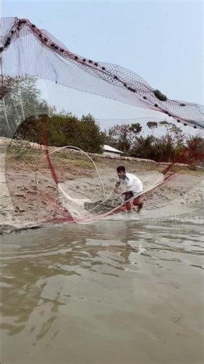 Big fish catching by cast net #viral #fishing #shorts