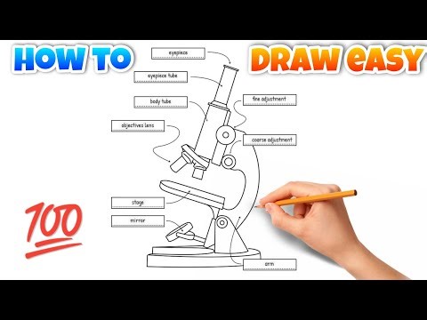 Compound microscope drawing · how to draw compound microscope diagram easy