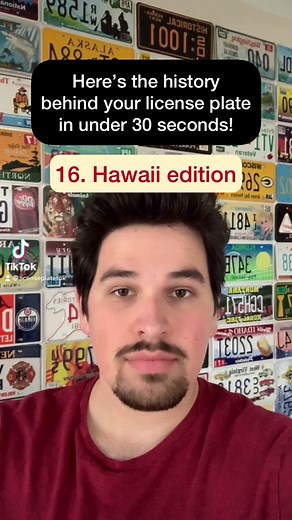 THE MYSTERY OF THE HOLES IS SOLVED 🕳🌈 #foryoupage #fyp #licenseplate...