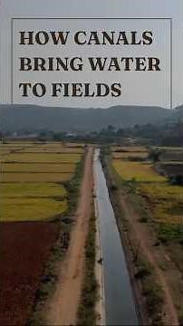 How do canals get water from the river to fields? #canal #irrigation #agriculture