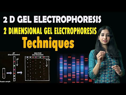 2 D Gel Electrophoresis I 2 Dimensional Gel Electrophoresis I Complete Details I Techniques