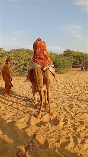 الجميع في دهشة#viral