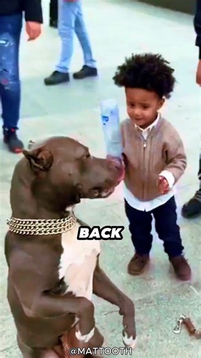 Kid Hits a Dog with a Bottle and Instantly Regrets It