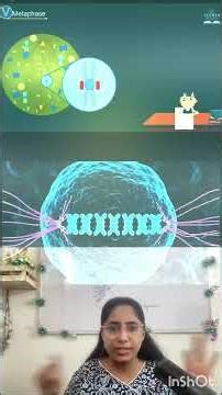 देखो cell कैसे टूटती है | Cell division 10 ICSE & 11 CBSE & NEET, IISER Pune, ICAR