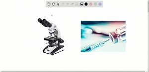 Give an example of how applied science has had a direct...