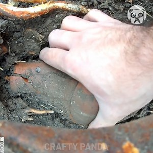Digging under the tree roots to find treasure | Crafty Panda