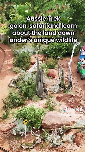 That’s So Tampa on TikTok