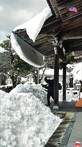 6.1K views · 11 reactions | Satisfactory snow removal methods watch till end 勞勞 | Gohana Kassi Fans | Facebook