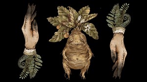 3 Witch Folklore Potions That Have Real Power