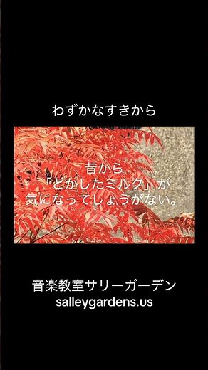 小さい秋みつけた#合唱 #童謡 #唱歌 #日本語 #ソルフェージュ #音楽教室 #シュタイナー#サトウハチロー #中田喜直