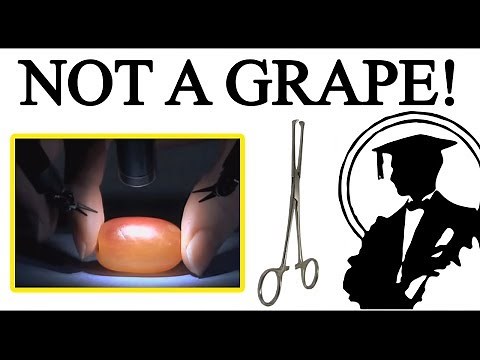 Why They Did Surgery On A Grape | Lessons in Meme Culture