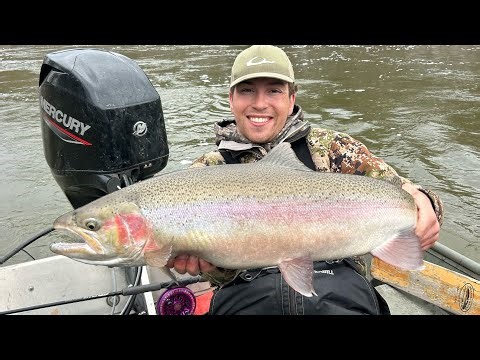 Spring Steelhead Fishing on the Manistee River
