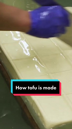 TikTok - Make Your Day