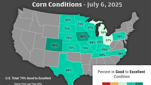 The Big Debate: Just How High Could the National Corn Yield Go This Year?