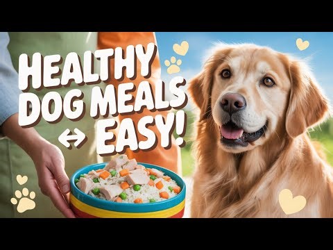 “5 Easy Homemade Dog Meals 🐶 | Simple & Healthy Dog Food Recipes for Every Pup!”