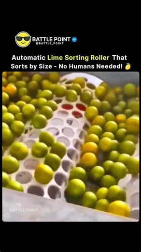 Automatic Lime Sorting Roller — No Humans Needed! 🍋🤖